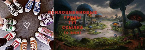 СК Кукмор