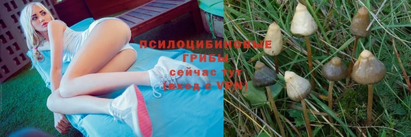 прущая мука Кулебаки