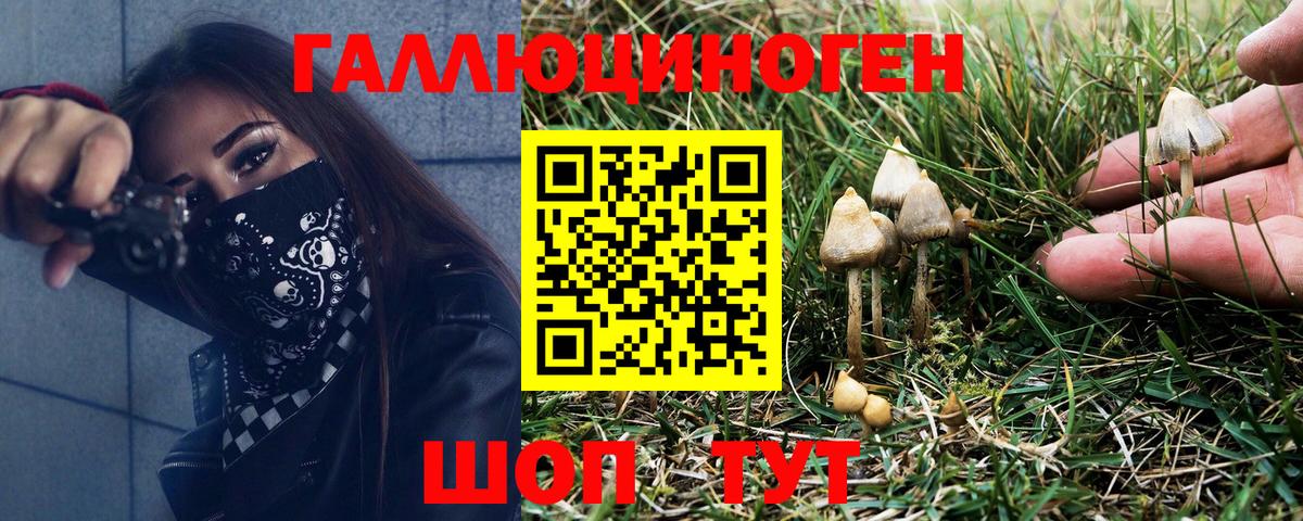 хочу   Березники  Галлюциногенные грибы Magic Shrooms 