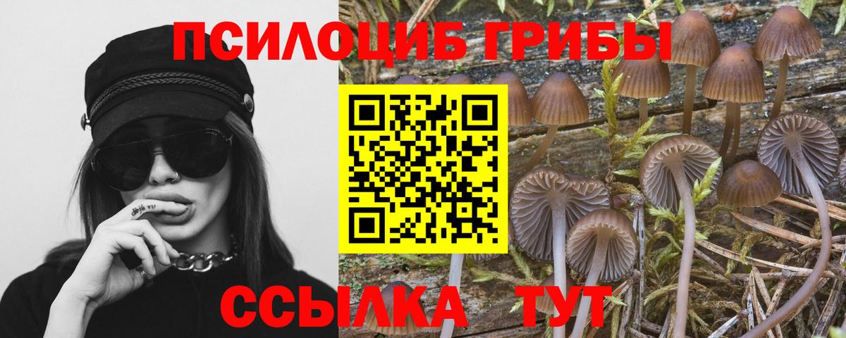 Березники  Галлюциногенные грибы ЛСД  Вход с VPN 