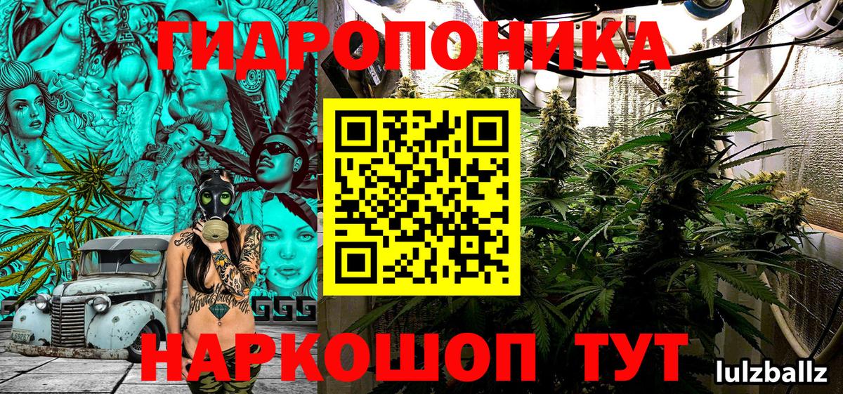 Бошки Шишки VHQ Березники
